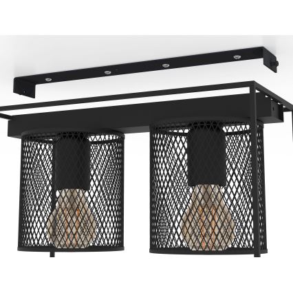 Eglo - Ceiling light 2xE27/40W/230V