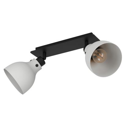 Eglo 43828 - Spotlight MATLOCK 2xE27/40W/230V