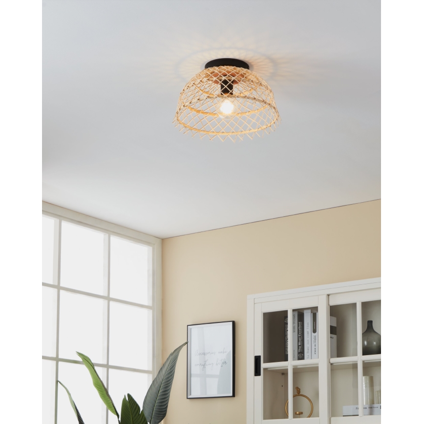 Eglo 43831 - AUSNBY Ceiling Light 1xE27/40W/230V