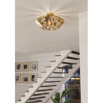 Eglo - Ceiling light 1xE27/60W/230V