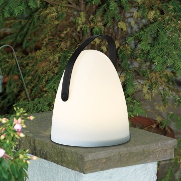 Eglo 48841 - LED Outdoor table lamp COLLIRADOS LED/3xAA IP44