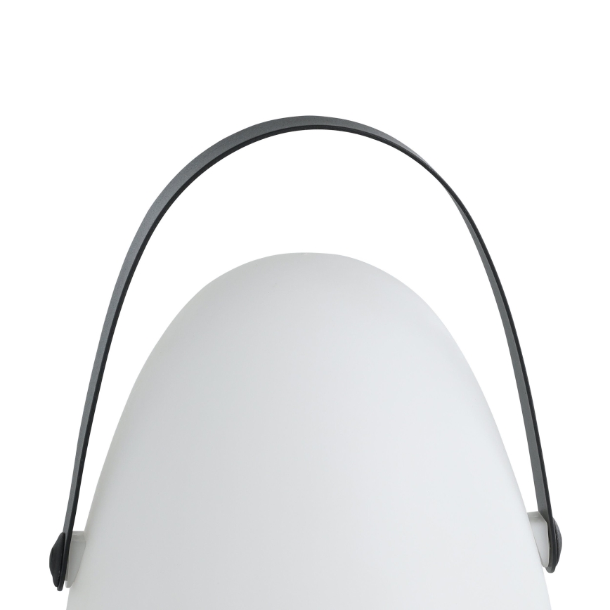 Eglo 48841 - LED Outdoor table lamp COLLIRADOS LED/3xAA IP44