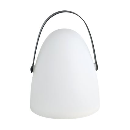 Eglo 48841 - LED Outdoor table lamp COLLIRADOS LED/3xAA IP44