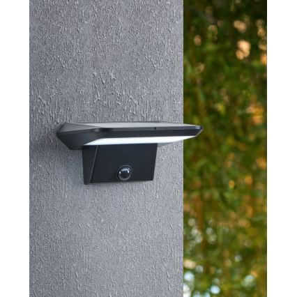 Eglo - LED Solar wall light with sensor LED/20W/3,7V IP44