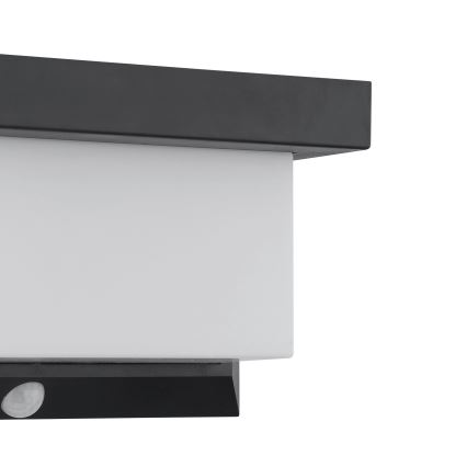 Eglo - LED Solar wall light with sensor LED/3,84W/3,7V IP44