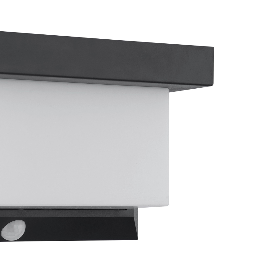 Eglo - LED Solar wall light with sensor LED/3,84W/3,7V IP44