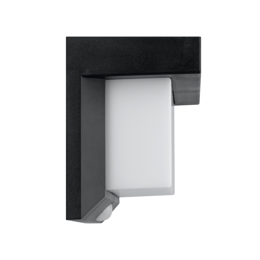 Eglo - LED Solar wall light with sensor LED/3,84W/3,7V IP44