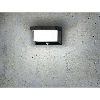 Eglo - LED Solar wall light with sensor LED/3,84W/3,7V IP44