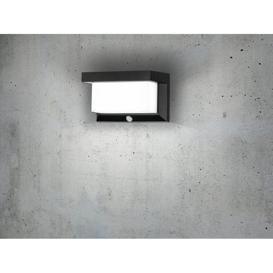 Eglo - LED Solar wall light with sensor LED/3,84W/3,7V IP44