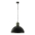 Eglo 49106 - Chandelier on a chain COLDRIDGE 1xE27/60W/230V