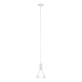 Eglo 62264 - PASCOA PRO cable-suspended pendant light 1xE27/60W/230V 16,8 cm white