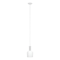 Eglo 62265 - Chandelier on a string PASCOA PRO 1xE27/60W/230V 15,6 cm white