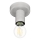 Eglo 64106 - Ceiling light IGUALA 1xE27/40W/230V grey