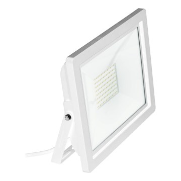 Eglo 64842 - LED Floodlight FILETTI LED/30W/230V 3000K IP65 white
