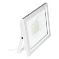 Eglo 64863 - LED Floodlight FILETTI LED/30W/230V 4000K IP65 white