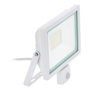 Eglo 64874 - LED Floodlight with a sensor FILETTI LED/10W/230V 3000K IP44 white