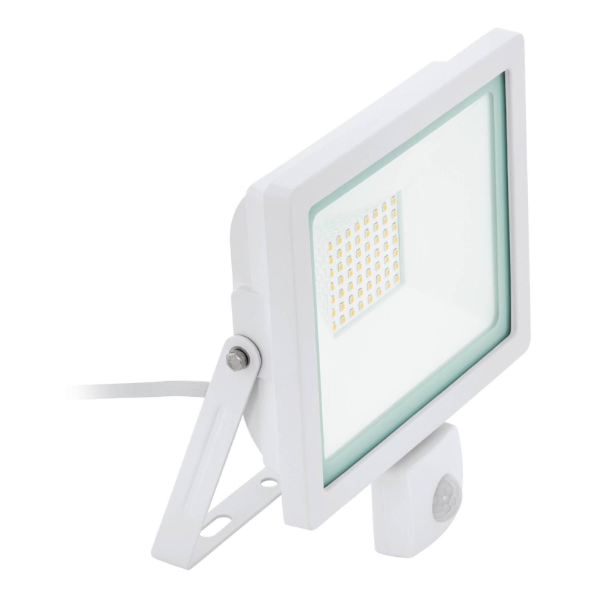 Eglo 64876 - LED Floodlight with a sensor FILETTI LED/30W/230V 3000K IP44 white