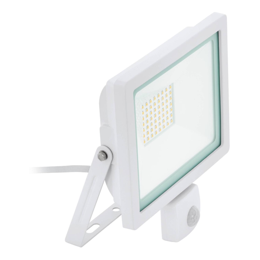 Eglo 64877 - LED Floodlight with a sensor FILETTI LED/50W/230V 3000K IP44 white