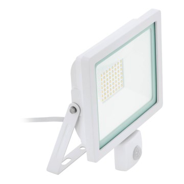 Eglo 64886 - LED Floodlight with a sensor FILETTI LED/50W/230V 4000K IP44 white