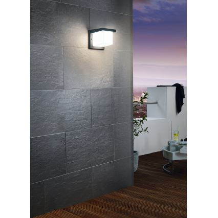 Eglo 65046 - LED Outdoor wall light DESELLA PRO LED/10W/230V IP54 anthracite