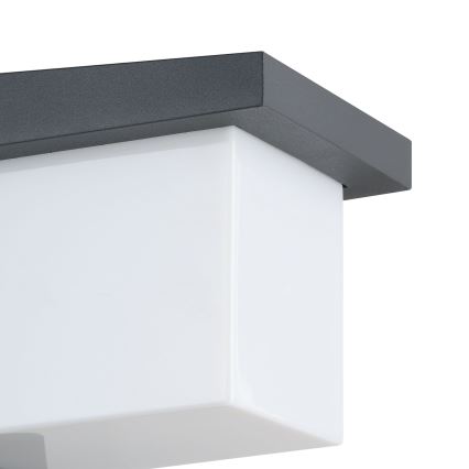 Eglo 65046 - LED Outdoor wall light DESELLA PRO LED/10W/230V IP54 anthracite