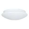 Eglo 68317 - ELLA PROJEKT bathroom ceiling light 1xE27/20W/230V IP44 Ø 30 cm