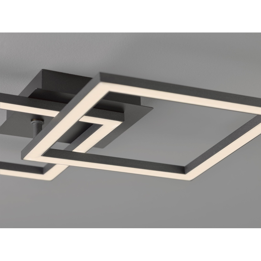 Eglo 75569 - LED Ceiling light PALMAVES LED/20,5W/230V
