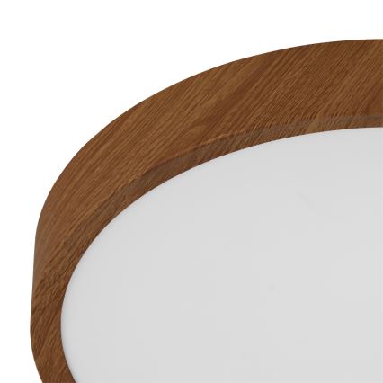 Eglo - LED Ceiling light LED/14,6W/230V