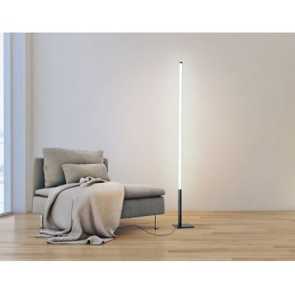 Eglo - LED Dimmable floor lamp LED/14W/230V 2700-6500K + remote control