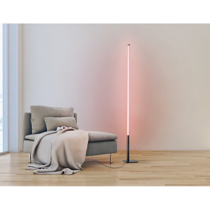 Eglo - LED RGB Dimmable floor lamp LED/13,5W/230V 2700-6500K + remote control