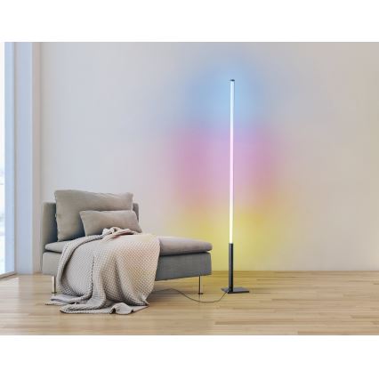Eglo - LED RGB Dimmable floor lamp LED/13,5W/230V 2700-6500K + remote control