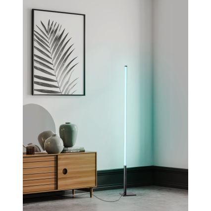 Eglo - LED RGB Dimmable floor lamp LED/13,5W/230V 2700-6500K + remote control