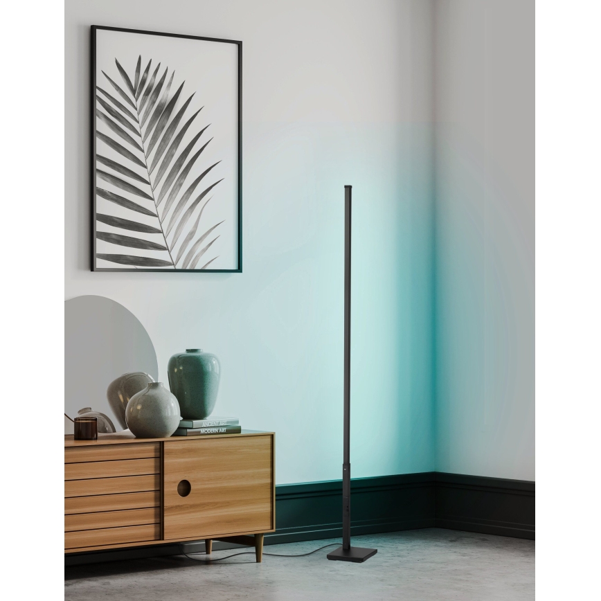 Eglo - LED RGB Dimmable floor lamp LED/13,5W/230V 2700-6500K + remote control