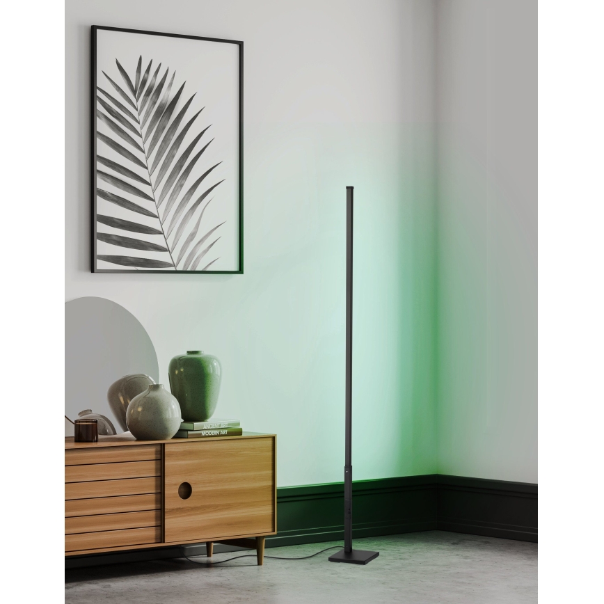 Eglo - LED RGB Dimmable floor lamp LED/13,5W/230V 2700-6500K + remote control