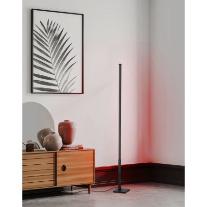 Eglo - LED RGB Dimmable floor lamp LED/13,5W/230V 2700-6500K + remote control