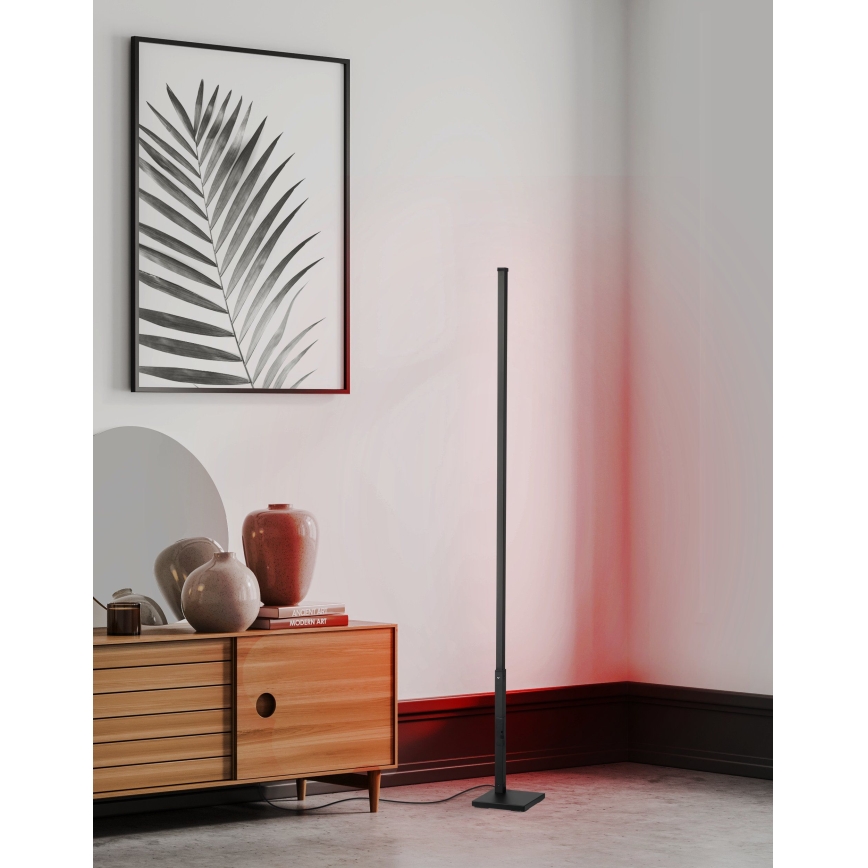 Eglo - LED RGB Dimmable floor lamp LED/13,5W/230V 2700-6500K + remote control