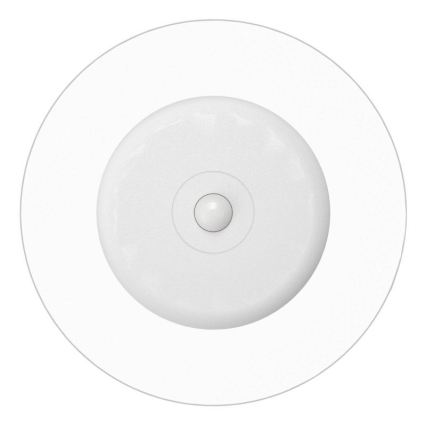 Eglo - RGBW LED Dimmable Rechargeable Wall Light with Motion and Dusk Sensor LED/5V 2000 mAh White + Remote Control