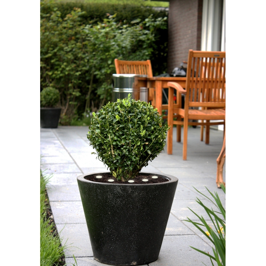 Eglo - LED Outdoor decorative chain SPINETOLI 6xLED IP65