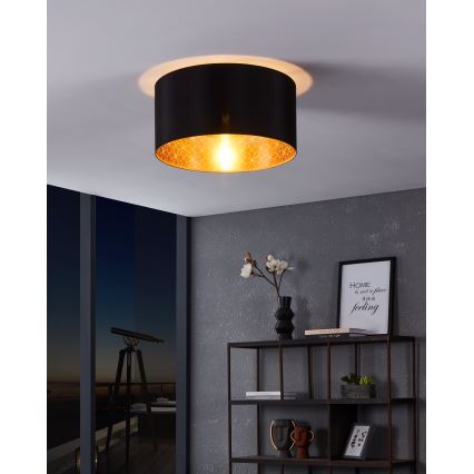 Eglo - Ceiling light 1xE27/40W/230V
