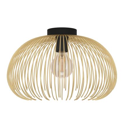 Eglo - Ceiling light 1xE27/40W/230V
