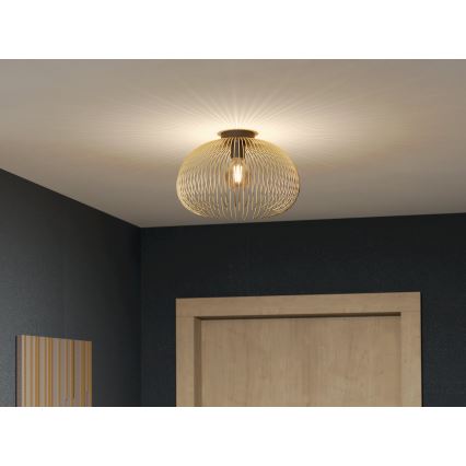 Eglo - Ceiling light 1xE27/40W/230V