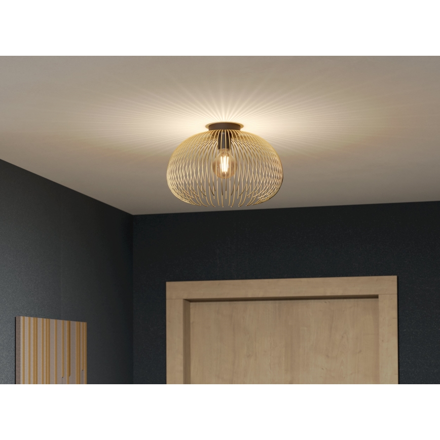 Eglo - Ceiling light 1xE27/40W/230V