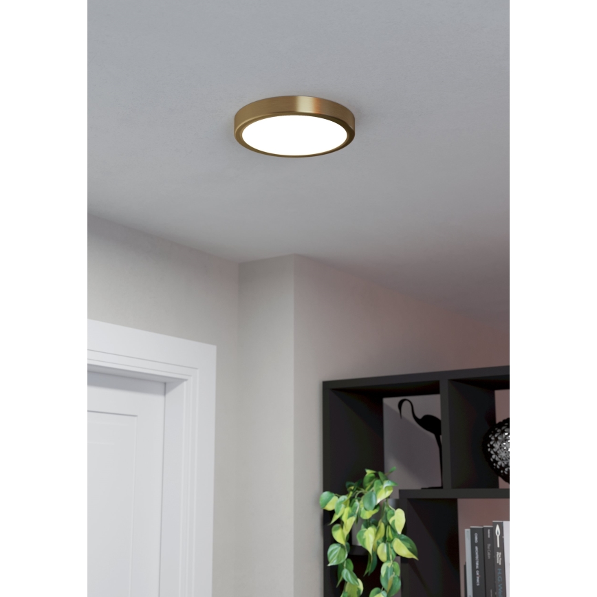 Eglo - LED Ceiling light LED/17W/230V d. 21 cm