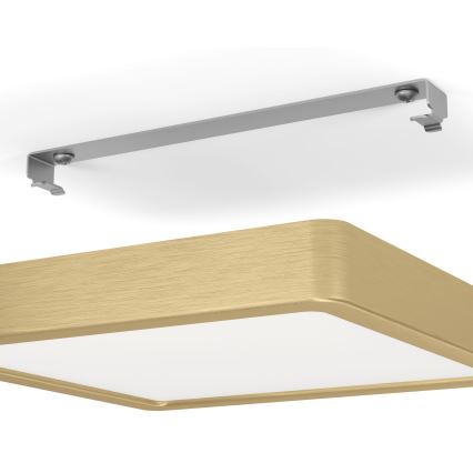 Eglo - LED Ceiling light LED/17W/230V