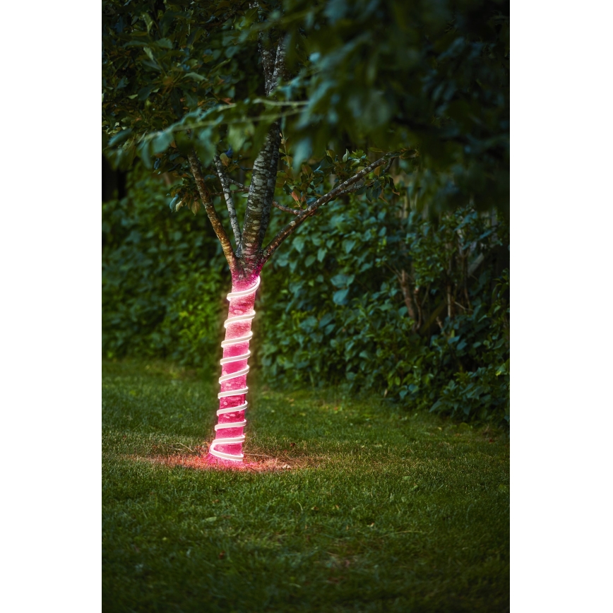 Eglo - LED Strip LED/96W/24V 5 m IP44 pink