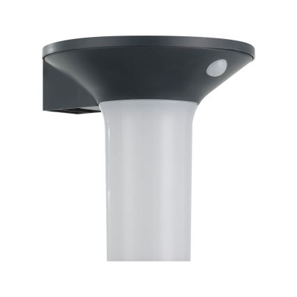 Eglo - LED Outdoor Solar Light with Sensor 6xLED/0,03W/3,7V IP44