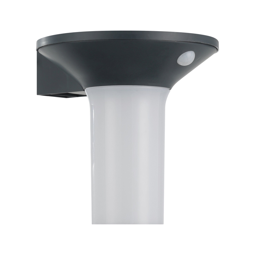 Eglo - LED Outdoor Solar Light with Sensor 6xLED/0,03W/3,7V IP44