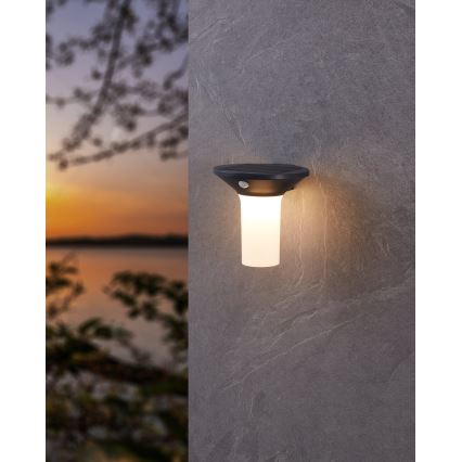 Eglo - LED Outdoor Solar Light with Sensor 6xLED/0,03W/3,7V IP44