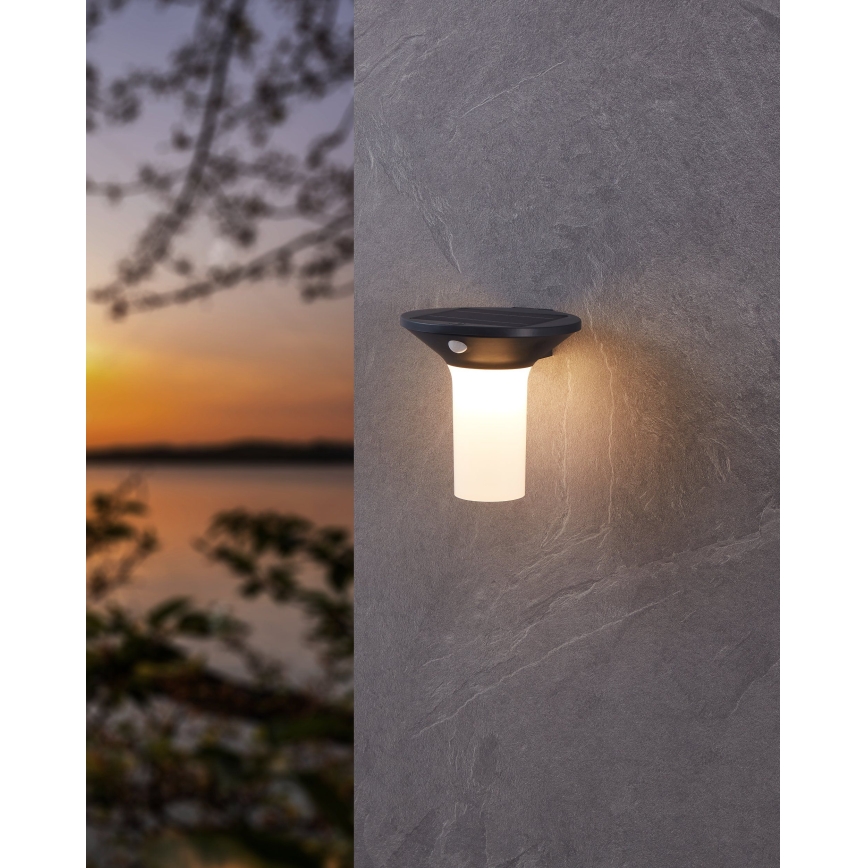 Eglo - LED Outdoor Solar Light with Sensor 6xLED/0,03W/3,7V IP44