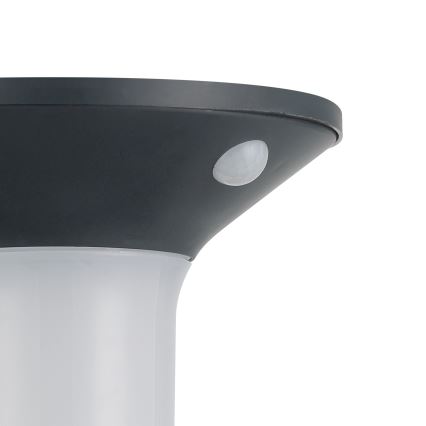 Eglo - LED Outdoor Solar Light with Sensor 6xLED/0,03W/3,7V IP44